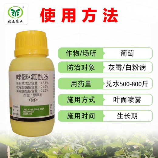健达 德国巴斯夫 防治葡萄白粉病，灰霉病。 商品图2