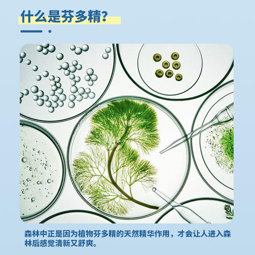 可鲁植萃除味剂杀菌猫尿狗尿消毒喷剂 商品图1