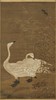 伽罗 JALO 挂画-佚名-雪芦双雁 P251（预计10天内发货） 商品缩略图1