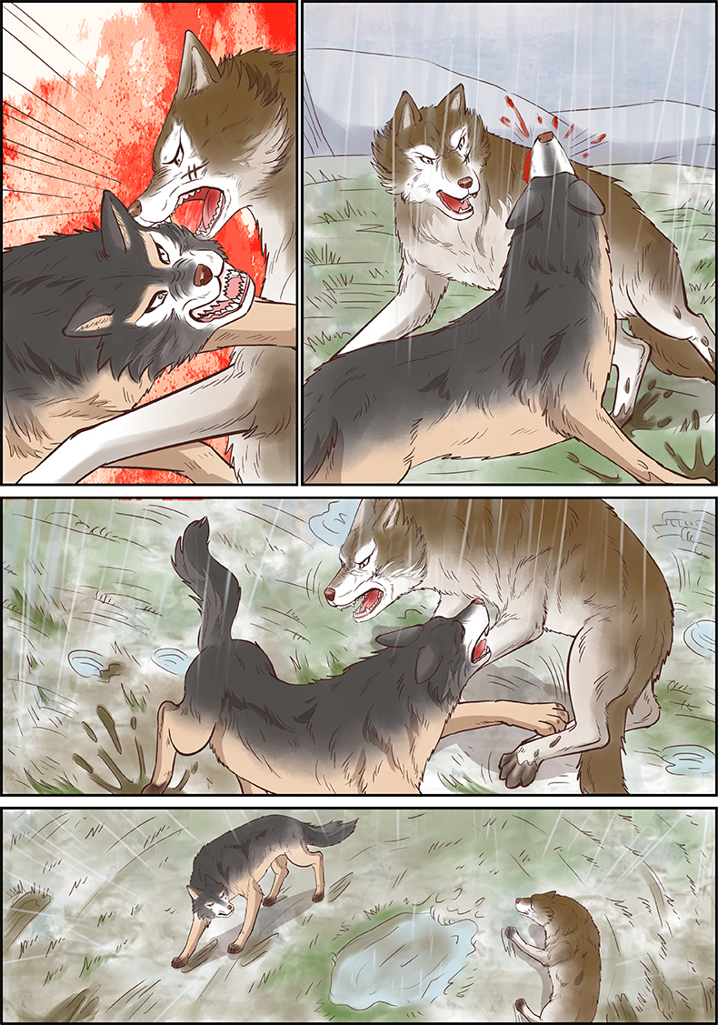 儿童文学名家典藏漫画·沈石溪动物漫画王国——狼王梦6册漫画版 适读