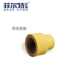 菲尔特 PPR 异径直接 25*20