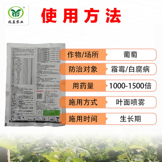百泰 防治葡萄霜霉病、白腐病，杀菌范围广 商品图2