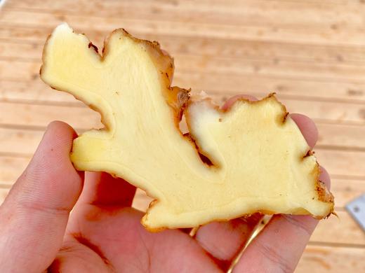 云南小黄姜 净重3斤5斤9斤  全国包邮 商品图5