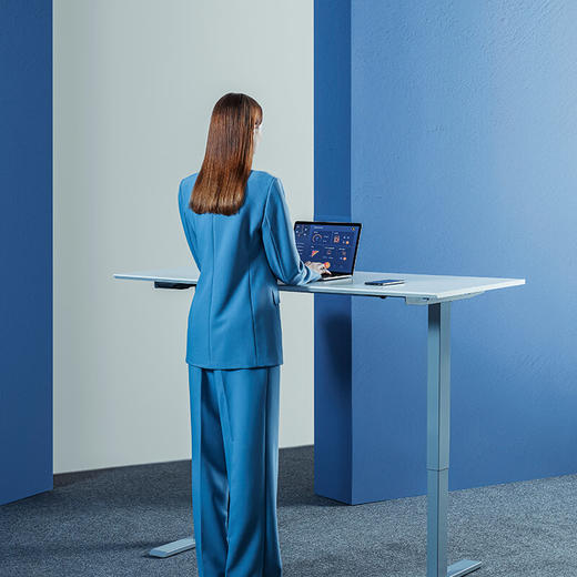 乐班电动升降桌 附午休小秋千 商品图5