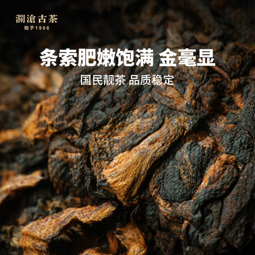 澜沧古茶2021年0081普洱茶熟茶熟普古树老树云南七子茶饼茶叶357g 商品图3