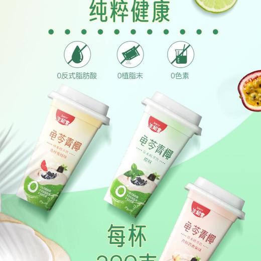 生和堂草本原味龟苓膏 390g/杯 商品图0