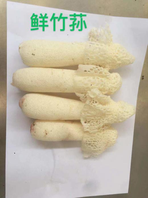 【众多米其林中餐厅同款】2026云南野山菌集合 一大口甄选 | 不定期更新菌子 商品图4