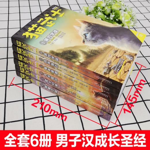 猫武士四部曲（共六册）  适读年龄6-15岁 商品图4
