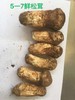 【众多米其林中餐厅同款】2026云南野山菌集合 一大口甄选 | 不定期更新菌子 商品缩略图2