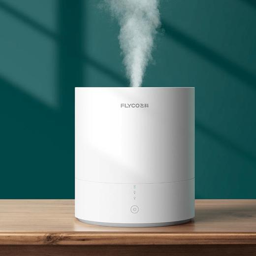 飞科空气加湿器喷雾器大容量卧室大雾量空调净化婴儿家用9205 商品图0