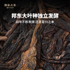 【仅5份】澜沧古茶2021年昔归熟茶品鉴装50g（含美人肩罐子） 商品缩略图5