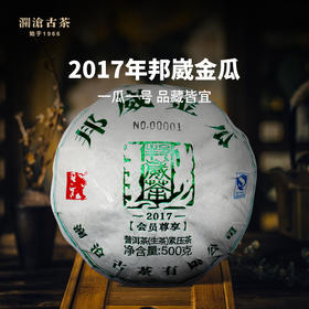 澜沧古茶2017年邦崴金瓜古树春茶纯料云南普洱茶生茶叶500g