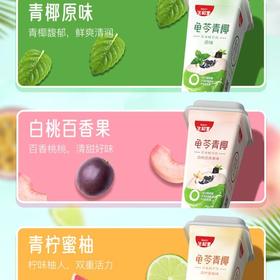 生和堂百香果椰浆龟苓膏390g