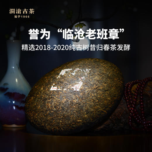 【仅5份】澜沧古茶2021年昔归熟茶品鉴装50g（含美人肩罐子） 商品图6