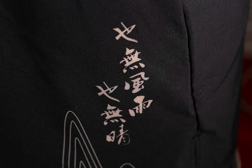 严素跑步运动短裤,东坡,训练款,带内衬,轻量,速干,透气,附袋 严素态度 商品图6