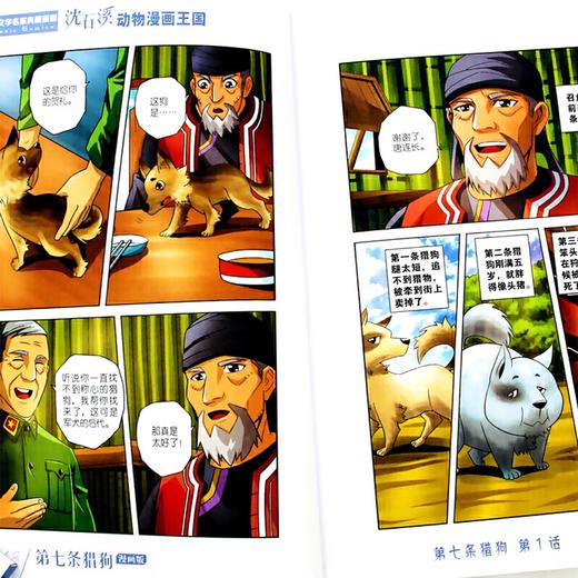 儿童文学名家典藏漫画·沈石溪动物漫画王国6册  适读年龄6-15岁 商品图1