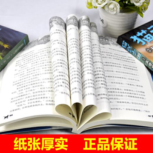 猫武士六部曲（共六册）  适读年龄6-15岁 商品图1