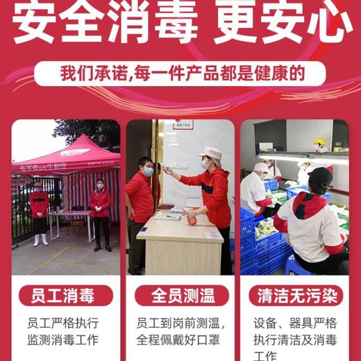 生和堂奶香红豆龟苓膏215g 商品图1