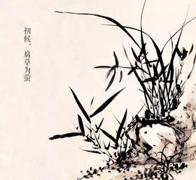 米马24节气养护 | 大暑