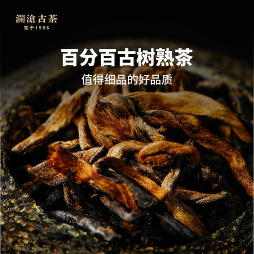 【抢头波 找客服拿惊喜价】澜沧古茶2021年茶妈妈小青柑陈皮普洱茶熟茶12颗礼盒装120g 商品图2