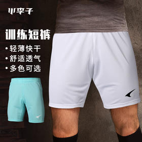 夏季足球运动休闲成人短裤P09102051