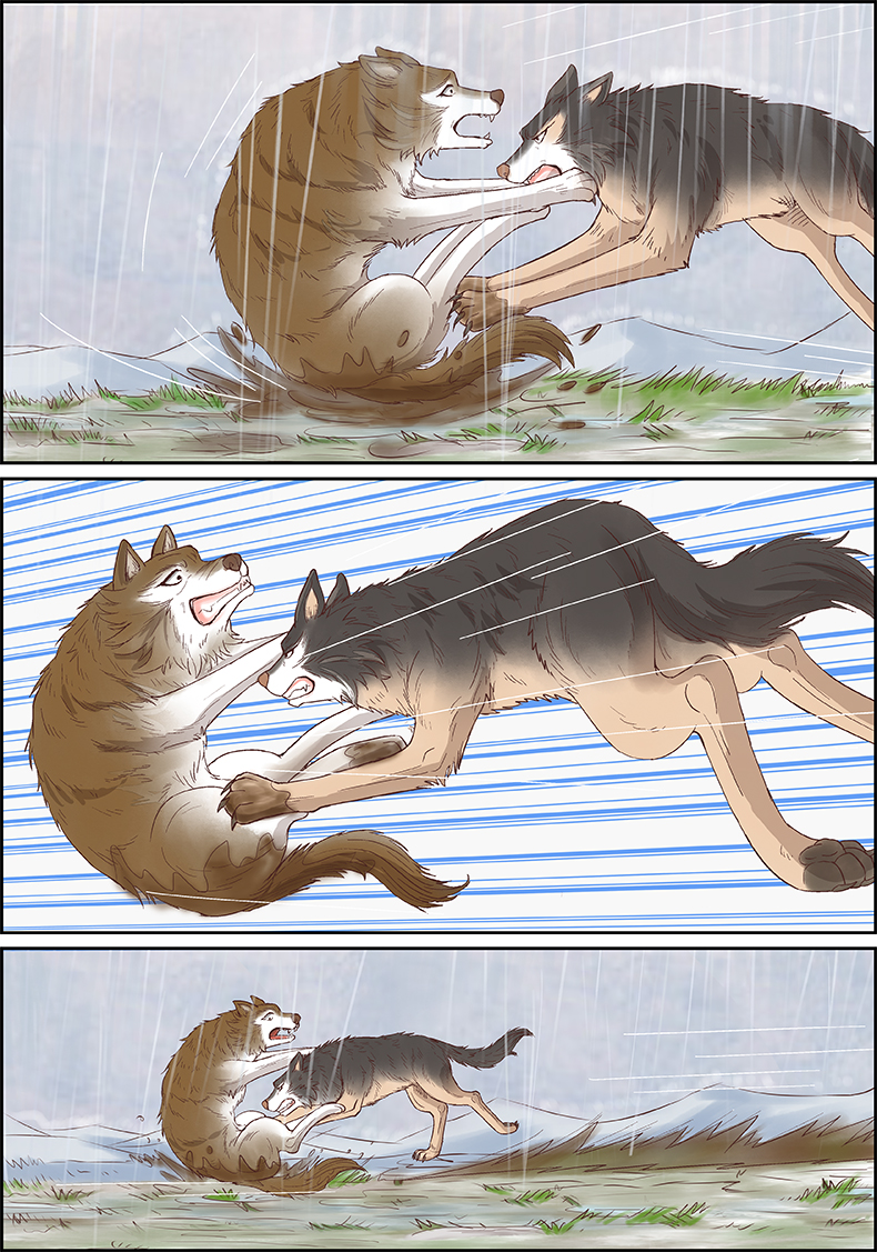 儿童文学名家典藏漫画·沈石溪动物漫画王国——狼王梦6册漫画版 适读