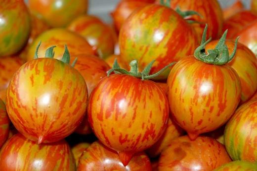 皮球柿子(500克) - 四季金果园