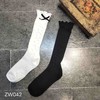 ZW042设计师款轻奢女袜 商品缩略图0