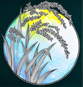 6-8岁《“做一粒好种子！”》稻谷/水稻【自动发货：下单后，点击手机短信中收到的链接，即可获取文件下载的链接；如有任何问题，可添加客服微信hm33268获得帮助】