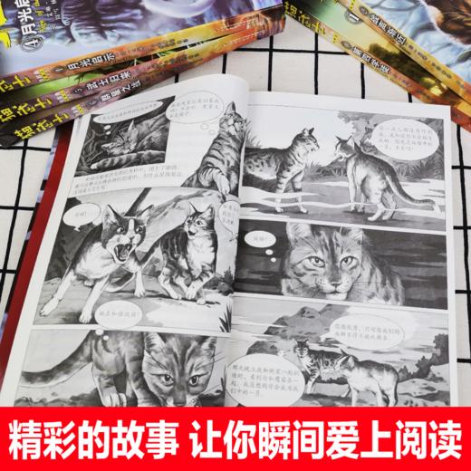 猫武士四部曲（共六册）  适读年龄6-15岁 商品图2