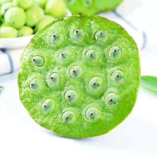 新鲜莲蓬 商品图3