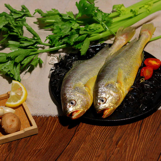 野性生态放养大黄鱼 商品图1