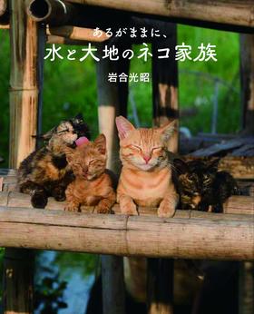 【预订】岩合光昭の世界ネコ歩き 猫咪写真摄影集