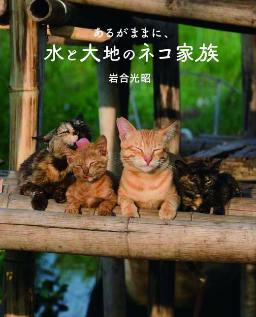 【预订】岩合光昭の世界ネコ歩き 猫咪写真摄影集 商品图0