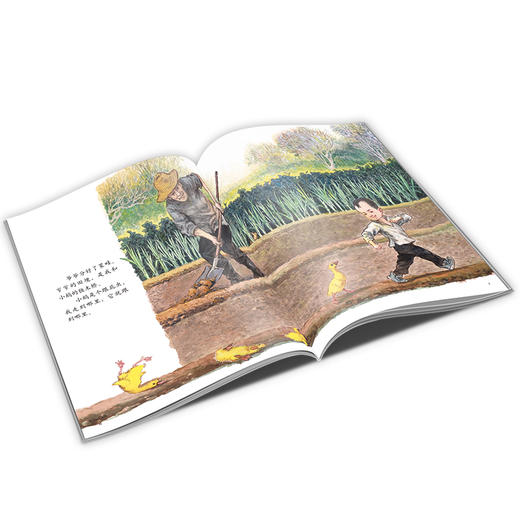 中少阳光图书馆·三颗豆粒一块田 适读年龄3-6岁 商品图3