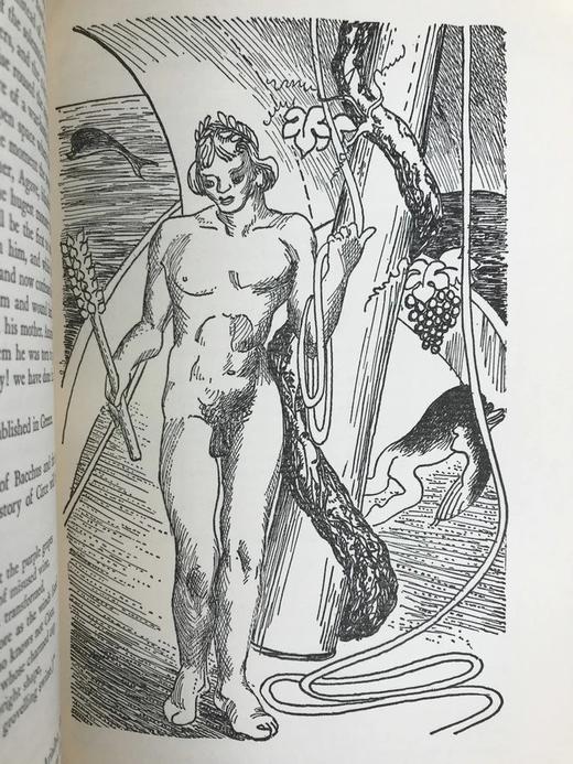 布尔芬奇《神话时代》 史丹利·威廉·海特插图 布面精装18开 商品图11