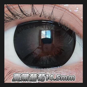 Sheepcon 黑夏葡萄（年抛硅水）