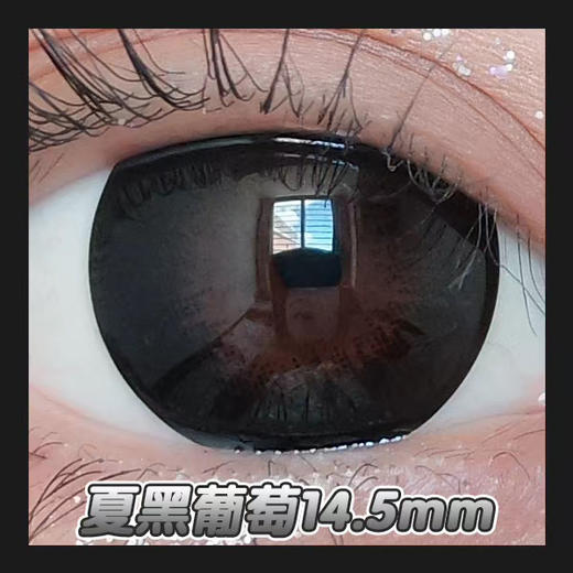 Sheepcon 黑夏葡萄（年抛硅水） 商品图0