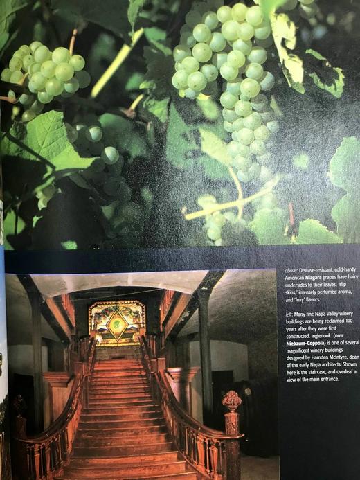 牛津北美红酒指南 16页彩色插图 精装16开 商品图13