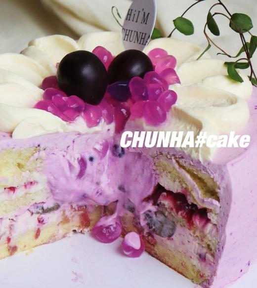 ｜多肉葡萄啵啵｜🍇 商品图1