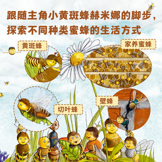 德国环保科普绘本（小蜜蜂+小海豹）（共2册） 商品图5