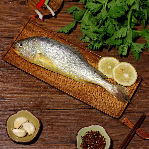 野性生态放养大黄鱼 商品图0