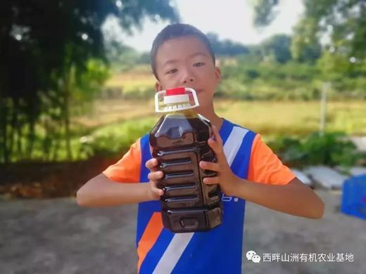 西畔山洲菜籽油 商品图0