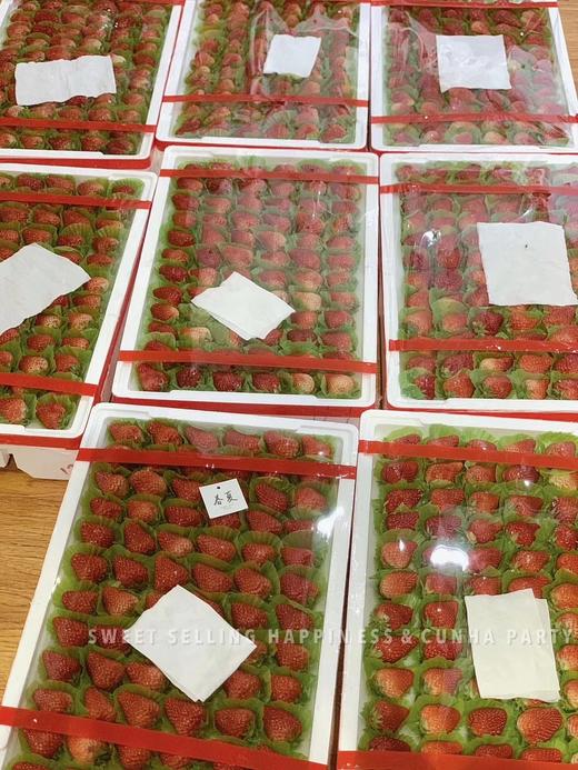 季节限定：草莓礼物🎁 商品图2