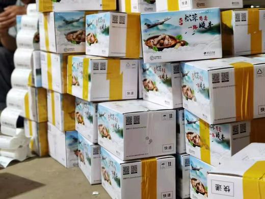 云南香格里拉精品松茸【2斤】菌中之王，口感鲜嫩 商品图5