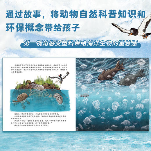 德国环保科普绘本（小蜜蜂+小海豹）（共2册） 商品图2