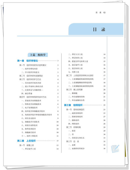 组织学与胚胎学  全国中医药行业高等教育“十四五”规划教材 供中医学针灸推拿学护理学等专业用 周忠光 汪涛 9787513268752 商品图3