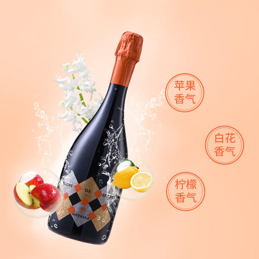 欧德罗起泡葡萄酒750ml 商品图3