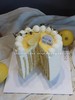 ｜柠檬酪酪🍋｜蛋糕 商品缩略图4