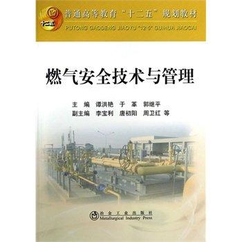 燃气安全技术与管理/谭洪艳,于革,郭继平 商品图0